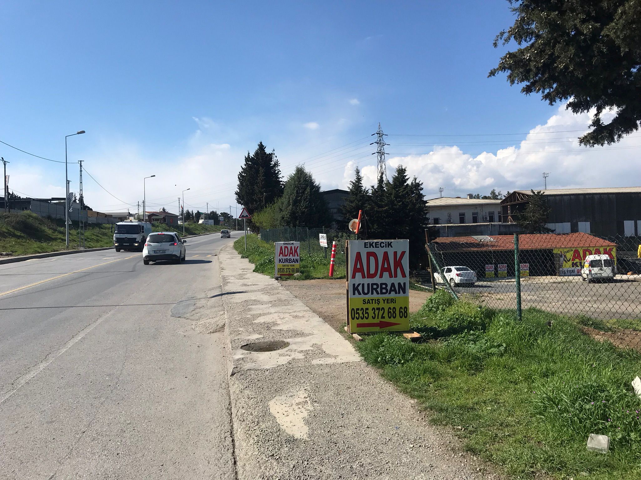 Adaklık kurbanlık ucuz adak satışı